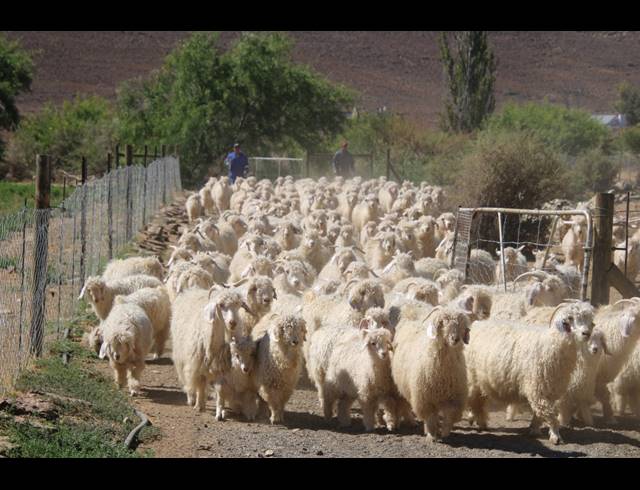 1,796HA FARM SOLD IN SUTHERLAND RURAL